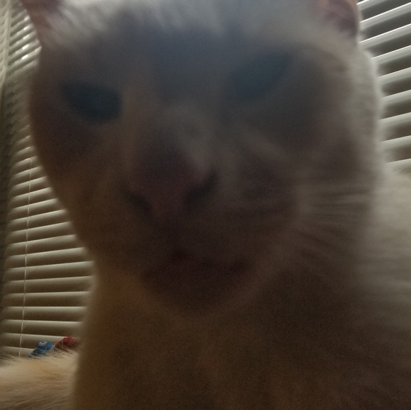 vzdbg